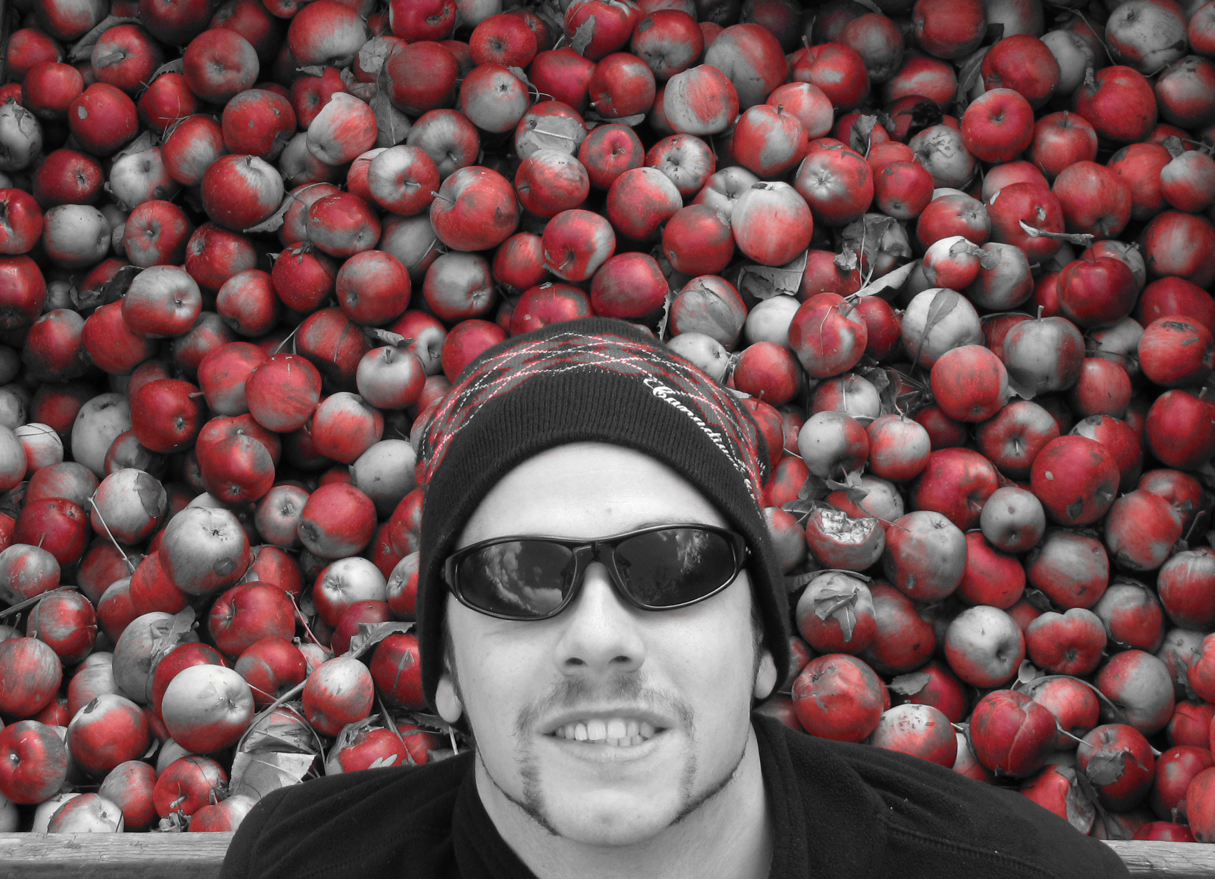 Roy de la pomme