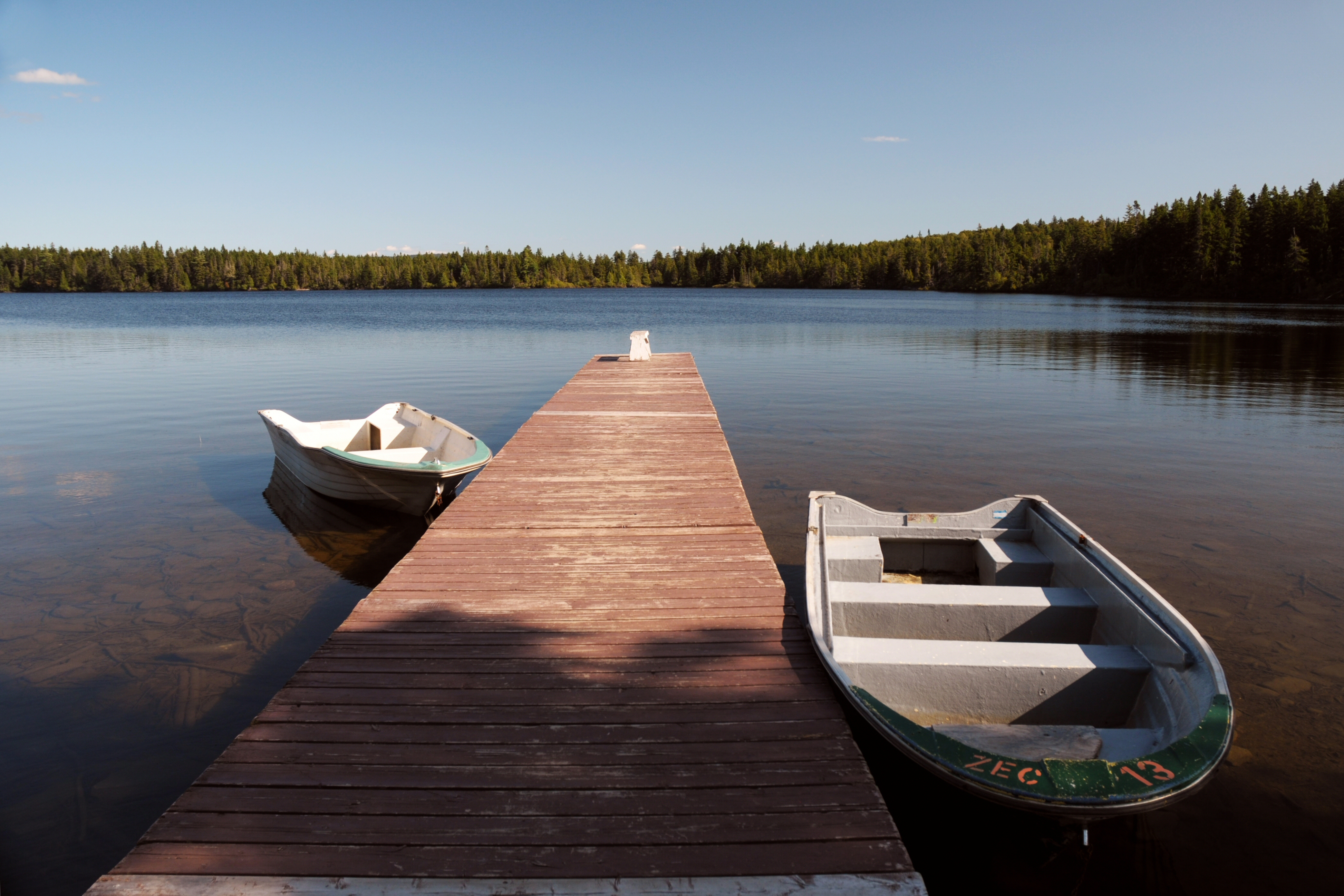 Lac des Cygnes