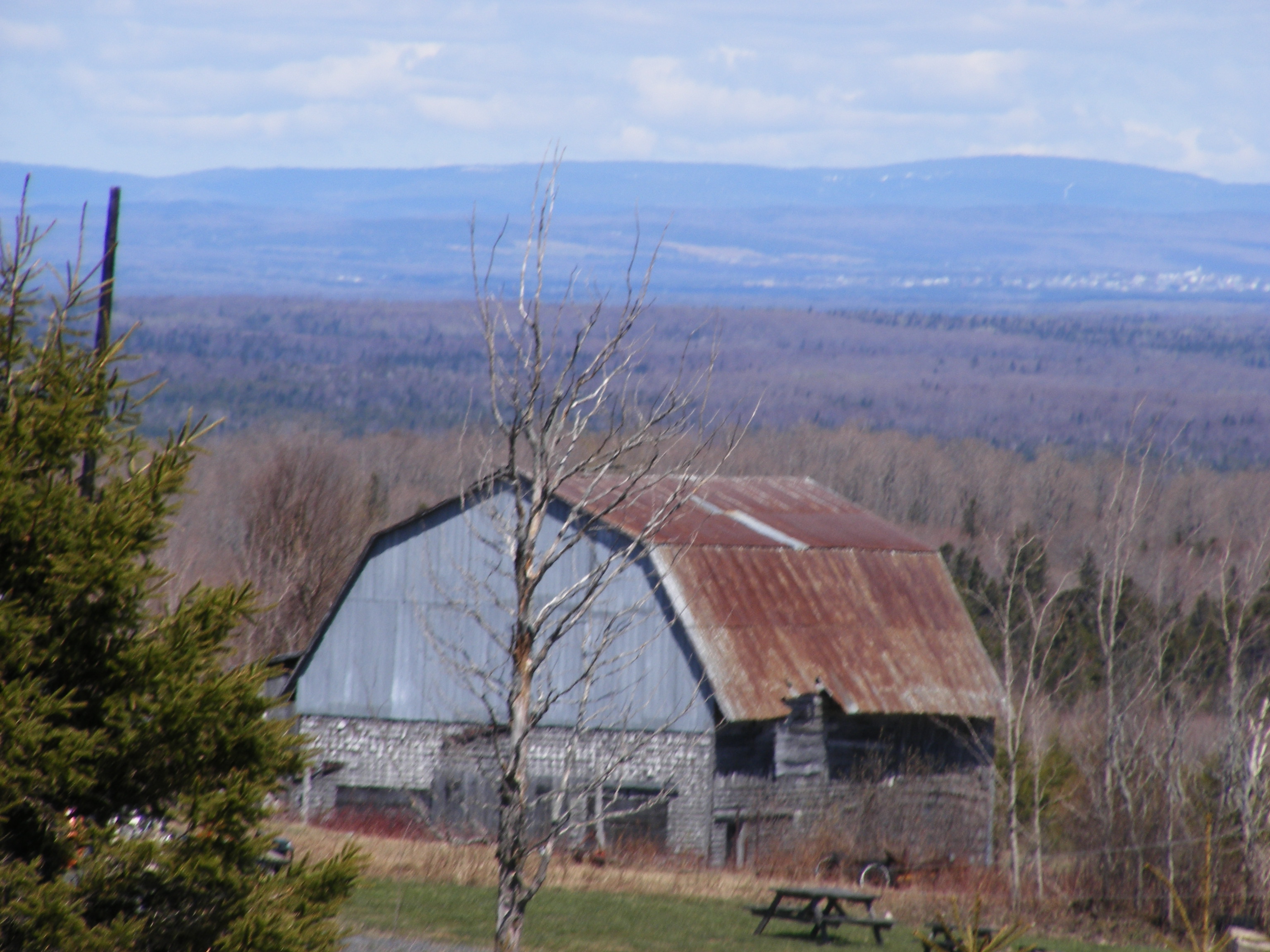 panoramique