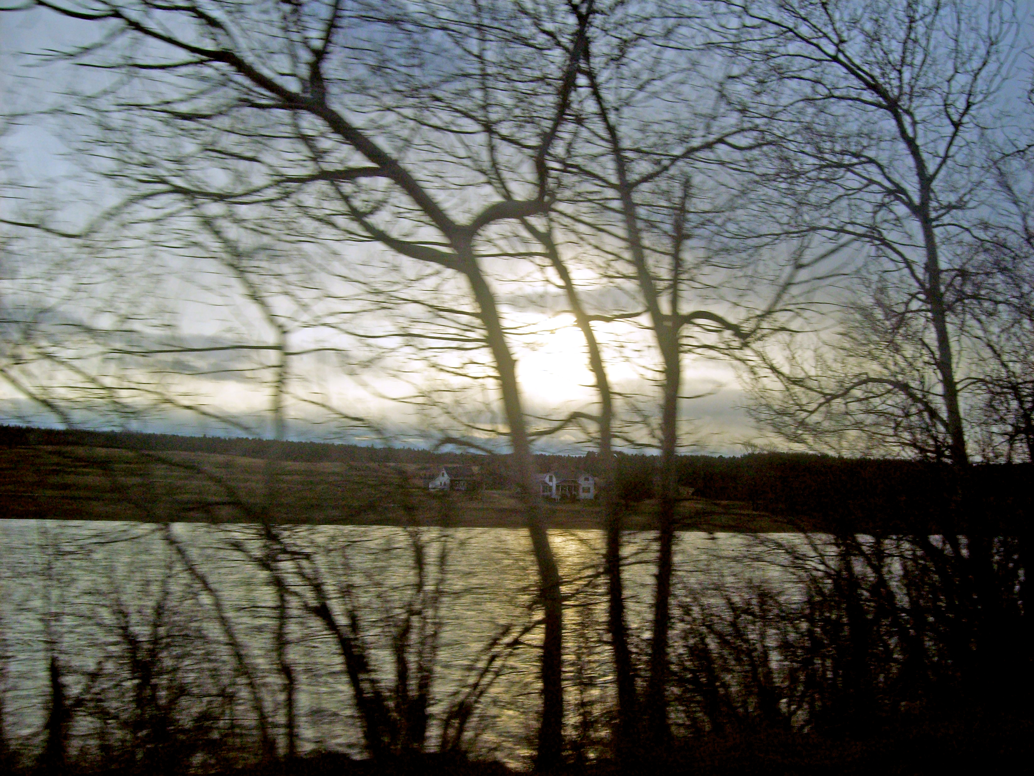 Arbres