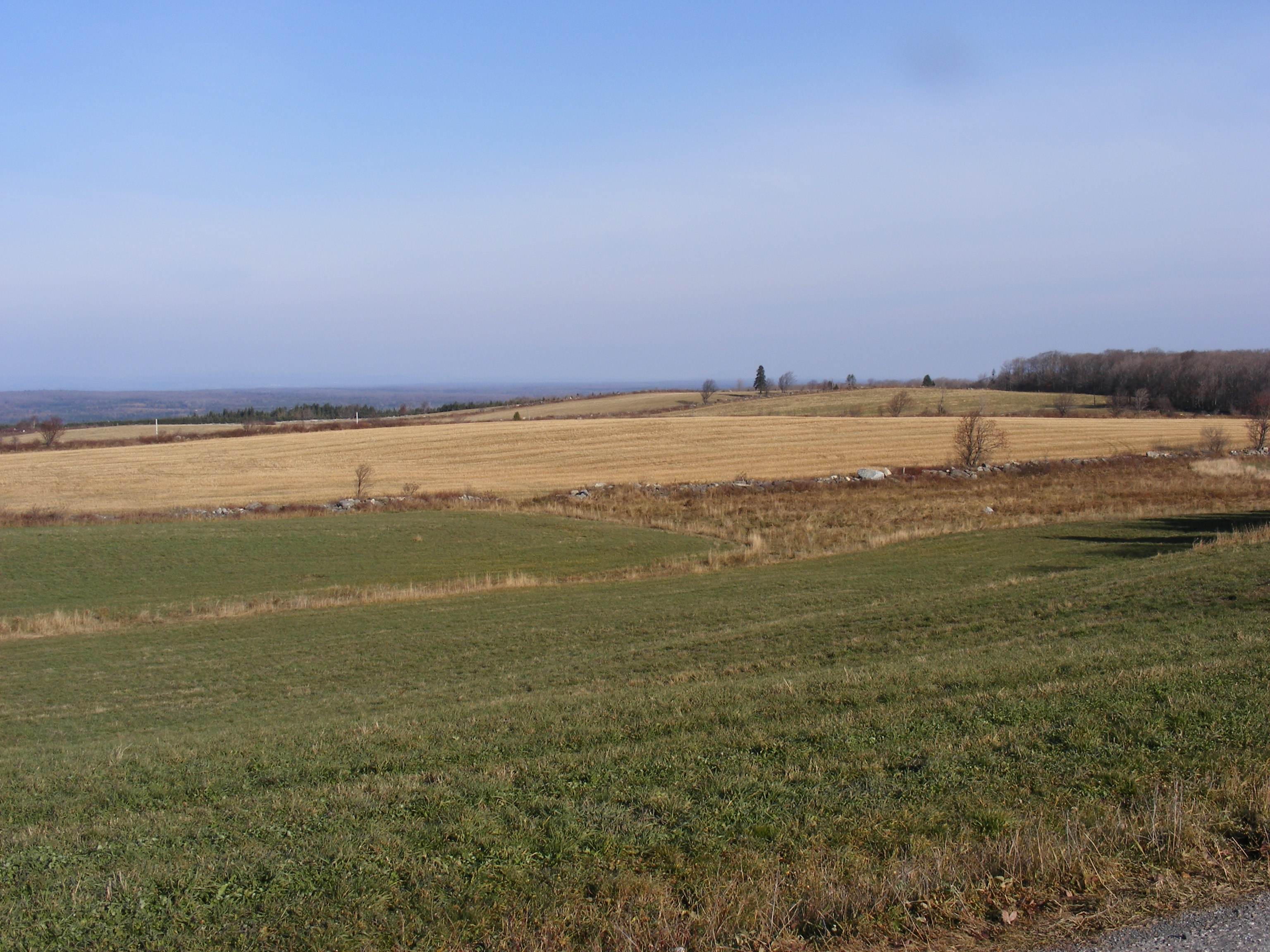 champs