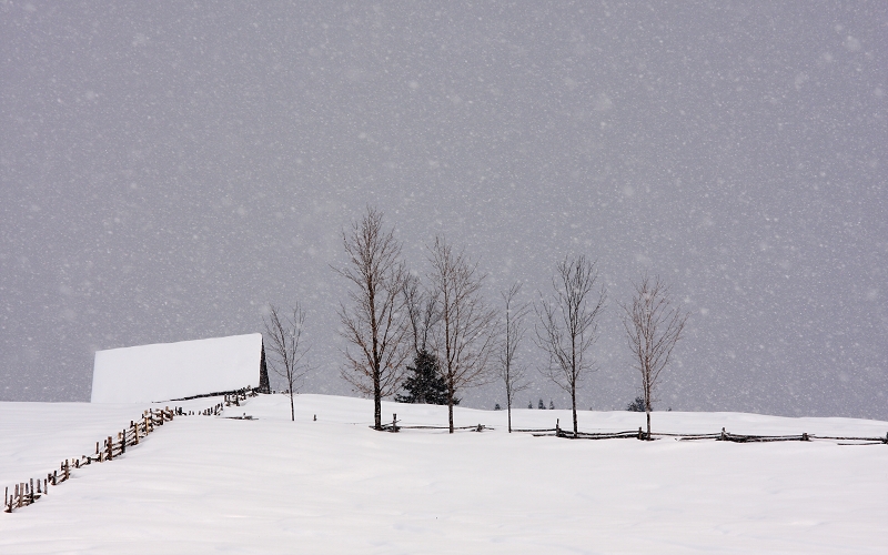 Paysage hivernal 