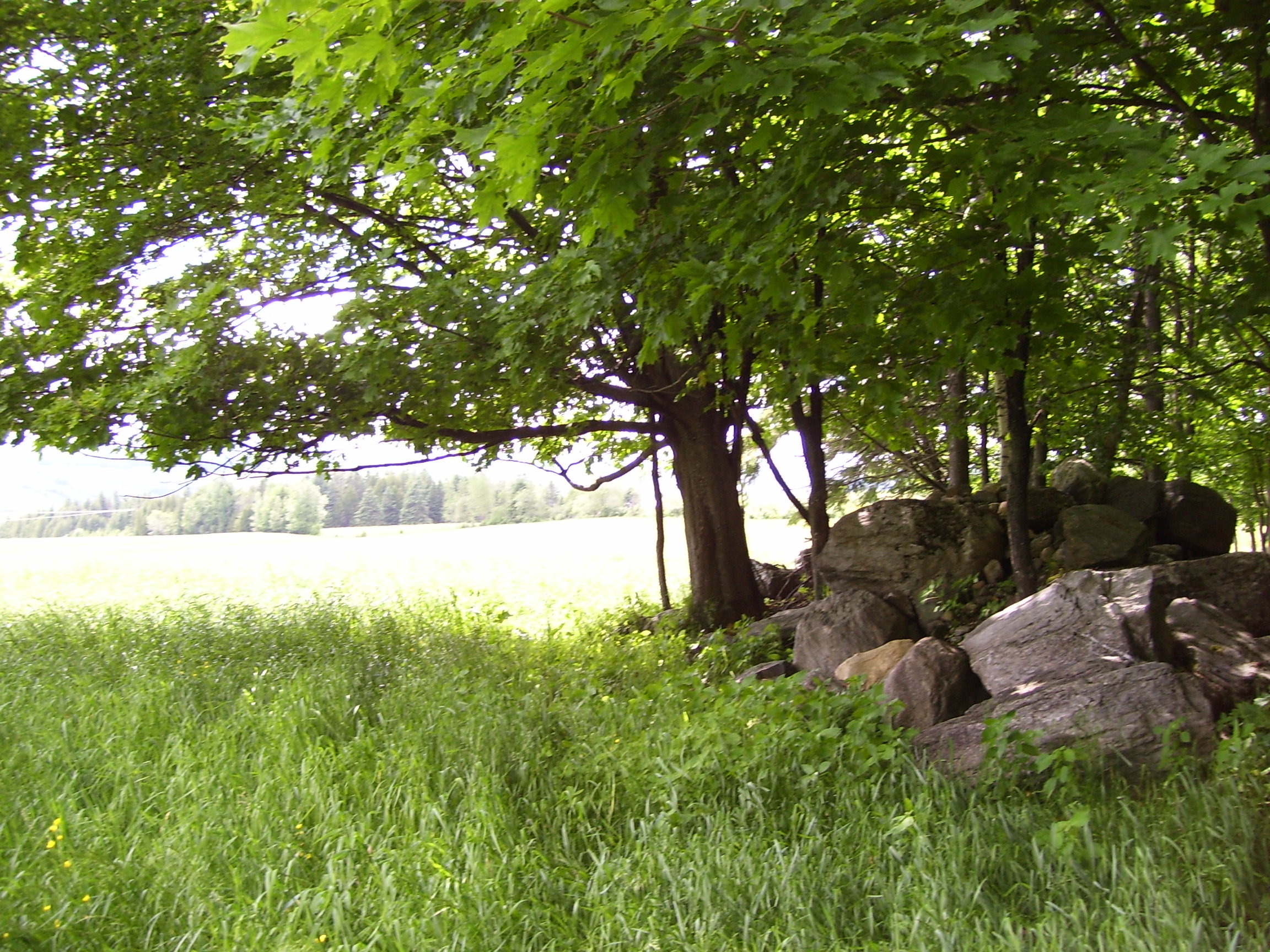 Paysage ludique