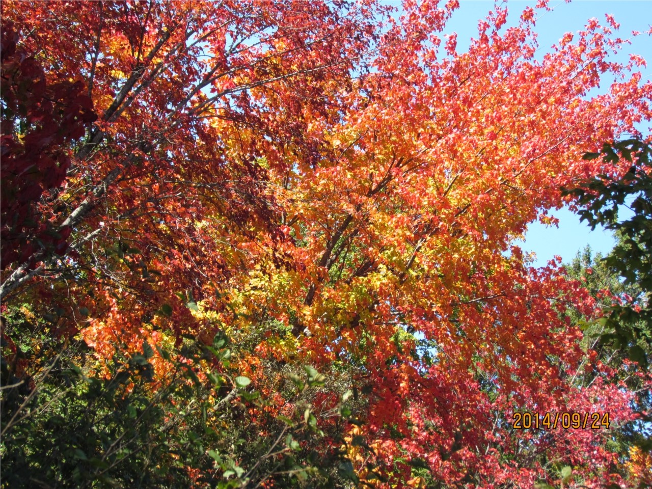 Beauté colorée!