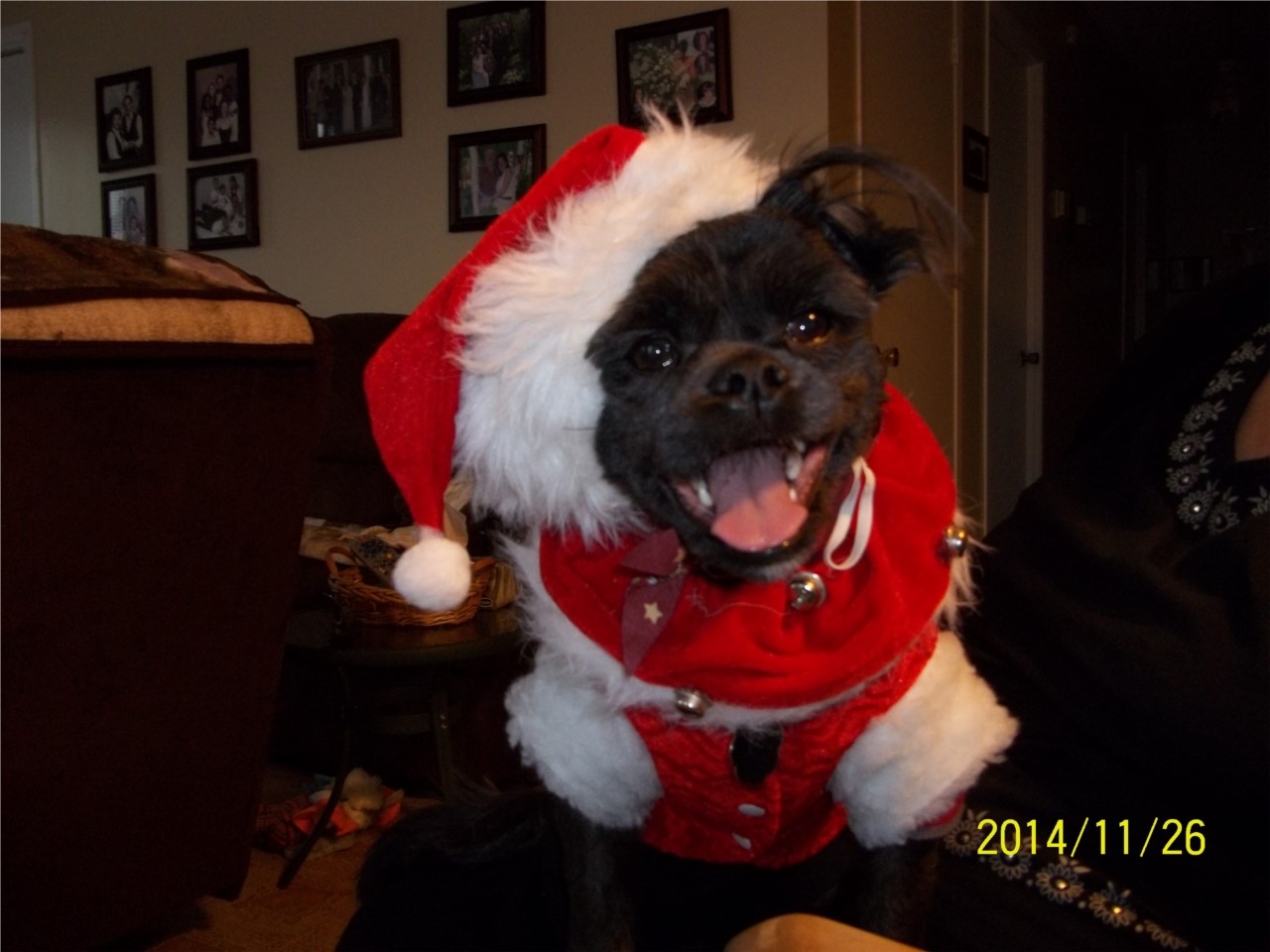 NOËL  NOËL !