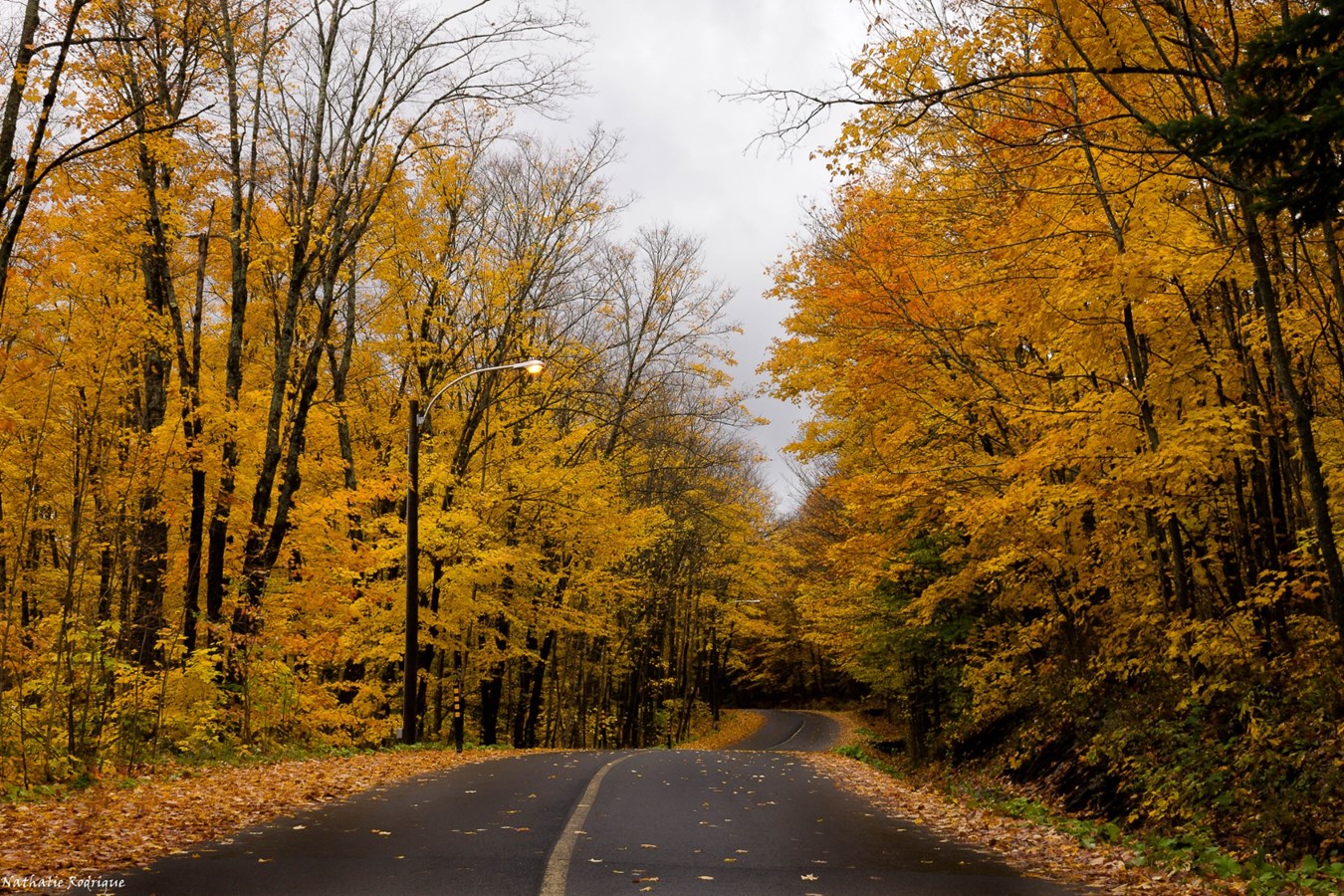 Chemin d'automne