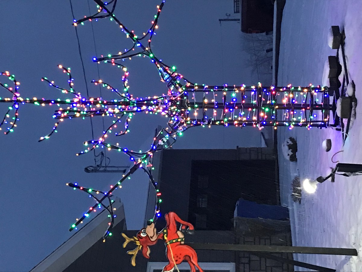 Arbre de noel