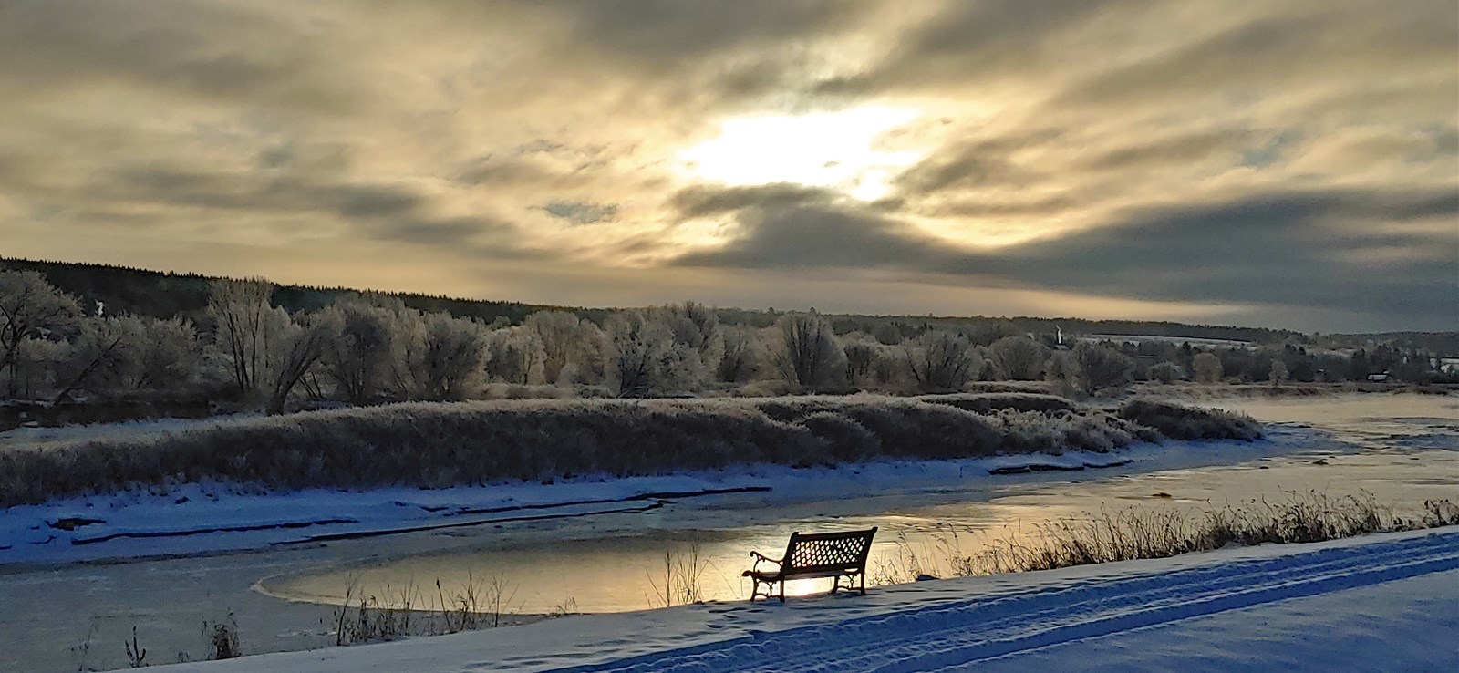 Solitude